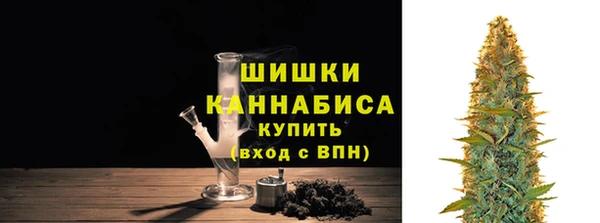 гашик Тутаев