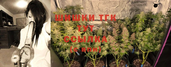 гашик Балахна