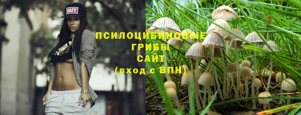 стафф Баксан