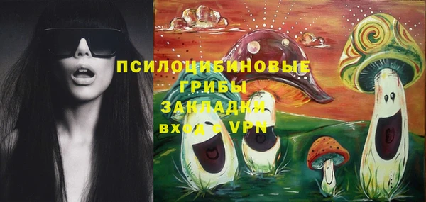 стафф Баксан